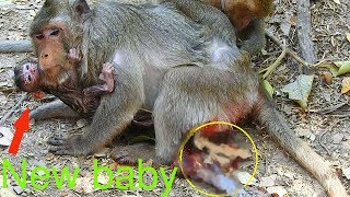 Hot news!! The Best video at 2:30pm Merry give a birth for new baby the same day of MARIA / M P