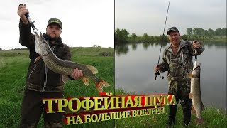 КРУПНАЯ ЩУКА НА КРУПНЫЕ ВОБЛЕРЫ (ОХОТА ЗА ТРОФЕЕМ) спиннинг в Сибири