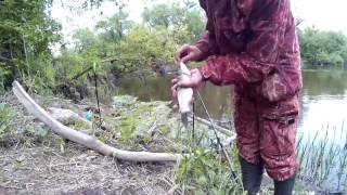 Рыбалка на Клязьме с фидером
