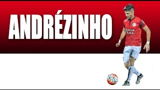 Andrézinho - Offensive Midfielder - 2016