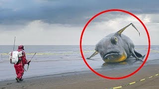 Рыбаки грохнулись на пол от ужаса когда подняли это со дна!Существа обитаемые на запретных глубинах