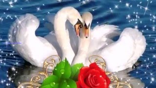 С ГОДОВЩИНОЙ СВАДЬБЫ