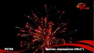 РС740 Цветик семицветик
