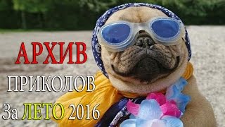 ЛУЧШИЕ ПРИКОЛЫ АРХИВ за ЛЕТО 2016