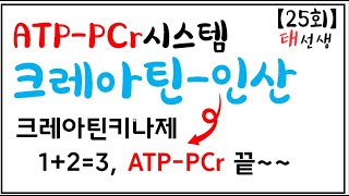 【25회】 ATP-PCr시스템(교재 p14), 태선생 운동생리학