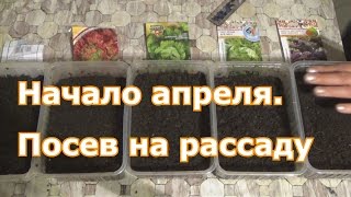 Сею в начале апреля на рассаду: физалис, базилик, капусту Кале, кочанные салаты и немного огурцов