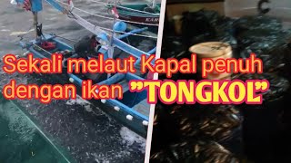 Hasil tangkapan nelayan semalam!! . . sampai kapal penuh ikan