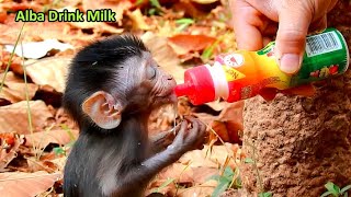 Feeding Milk Alba, Poor Baby Alba Got extra milk, Feeling Happy to See Alba Drink Milk a Lot