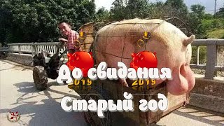 СТАРЫЙ НОВЫЙ ГОД! Прикольное поздравление со старым Новым Годом 2020