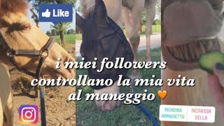 I miei followers controllano la mia vita al maneggio! | Chiara e Cappu