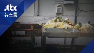 날파리 들끓고 곳곳 곰팡이…급식업체 위생관리 '경악'