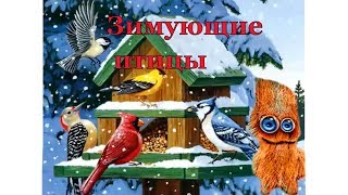 Зимующие птицы часть 1