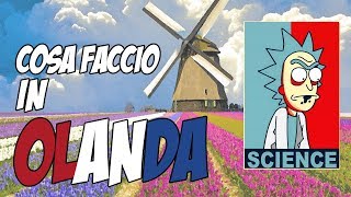 Cosa faccio in OLANDA? + Pacchi di SAN PATRIZIO