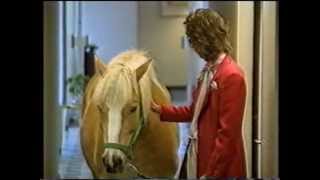 Best of Verstehen Sie Spaß - Pferd auf dem Flur mit Birgit Schrowange