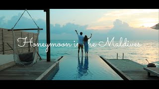 몰디브 신혼여행 브이로그, 시루펜푸시, Honeymoon in the Maldivesㅣ도트 브이로그ㅣDOT VLOG