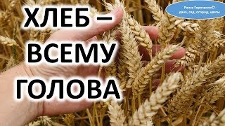 Хлеб - всему голова