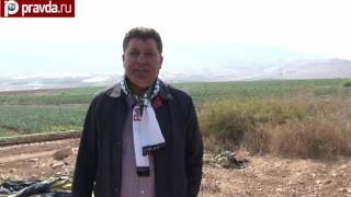 Палестина: первое знакомство