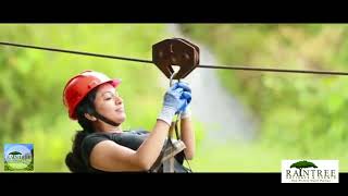 Honeymoon Resorts In Kerala I Idukki I Kerala Travel Destination