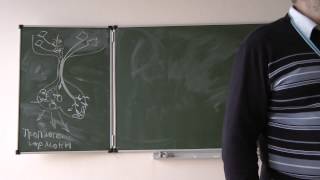 5.11.13 Физиология животных - Сергеев И.Ю. часть 2