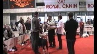 Кубок Мира АЗИАТ 2002