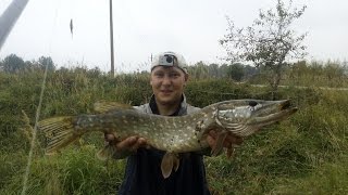 Рыбалка в Калининграде //// KONIGFISHING ////  Рыбалка на малой  реке 2