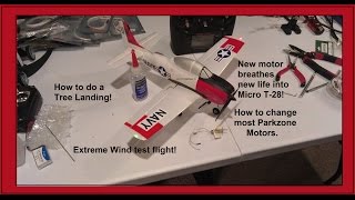 How to change a Parkzone T-28 Motor, Perform a Tree landing, and do an extreme wind test flight.!