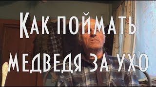 ? КАК ПОЙМАТЬ МЕДВЕДЯ ЗА УХО. Рассказ д.Толи / таежные рассказы /