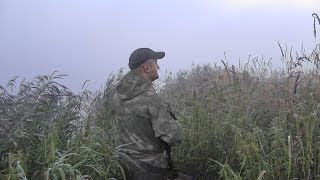 Охота на утку. Открытие летне-осеннего сезона. 12.08.2017. Часть 1 – Утрянка в тумане.