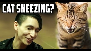 IS THERE A CAT SNEEZING? ◄ SingSing Moments Dota 2 Stream