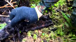Коп по войне - болотная треха / Searching with Metal Detector