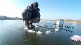 Рыбалка Самодельная Электронная Зимняя Удочка При Ловле Окуня KarakayS Chanal