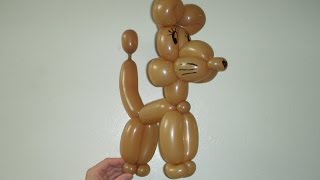 Собака из шариков