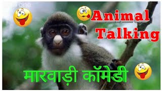 Funny Animals Talking marwadi version