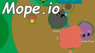 Животные ио Mope.io - Мопио \ Летсплей ио игры #IO Games