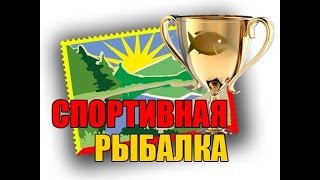 Фидер. Спортивная рыбалка с Евгением Замятиным №16. Андрей Думчев.