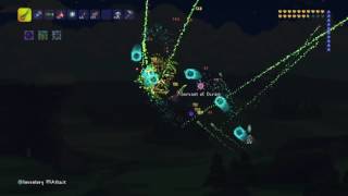 Terraria//ГАЙД ПО ОКРАМУ