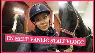 EN VANLIG STALLVLOGG