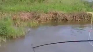 Ловля электроудочкой
