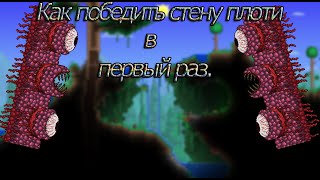 Как легко и просто убить стену плоти в террарии.Террария Гайды.