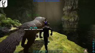 Ark Survival Evolved : Upper South Cave Guide