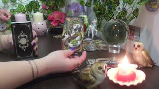 ?? Что надумал мой любимый ?! ?? Что хочет сказать ?! ? ! Онлайн-гадание ! Общий ТАРО расклад !