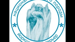 "YORK-SHOW-2016"   КОНКУРС СТРИЖКА  ПРОФИ ЮНЫЙ ХЕНДЛЕР
