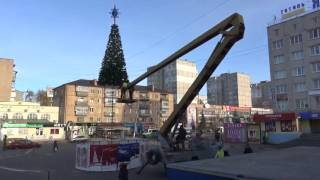 В центре Василькова устанавливают елку купленную мером С.Иващенко.