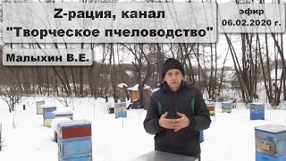 06.02.20 г. Z-рация, канал "Творческое пчеловодство" Малыхин В.Е., общение в режиме "вопрос-ответ"