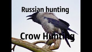 Crow hunting. Кроухантинг. Карл на 150 метров. Сентябрьские похождения Жорика и Эдика.
