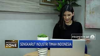 Soal Sengkarut CPI & Tambang Ilegal Timah, Ini Pandangan AETI