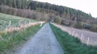 Dog reacts to shock collar scary