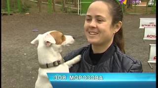 На бесплатные тренировки приглашают владельцев собак от 7 до 30 лет