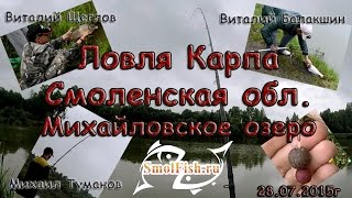 Ловля Карпа в Смоленской области. Михайловское озеро. 28.07.2015г