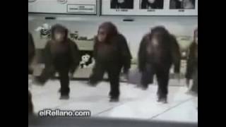 Ржака зажигательный танец обезьян
